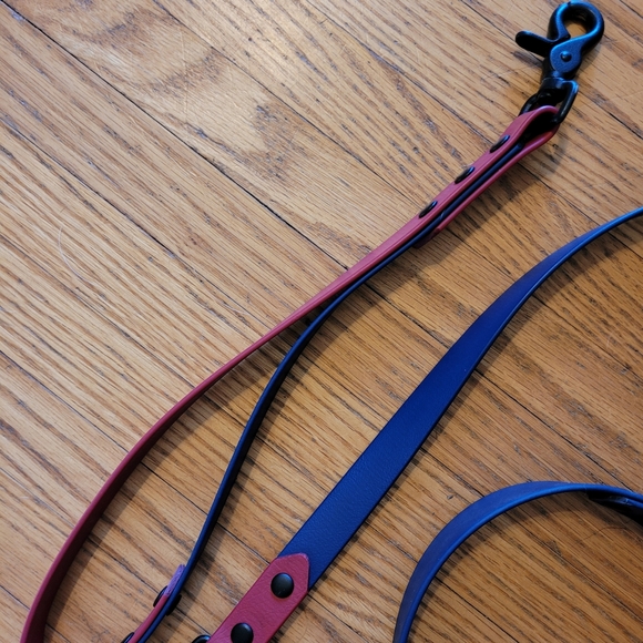 Blue & Red Collar & Leash Set - Picture 2 of 7